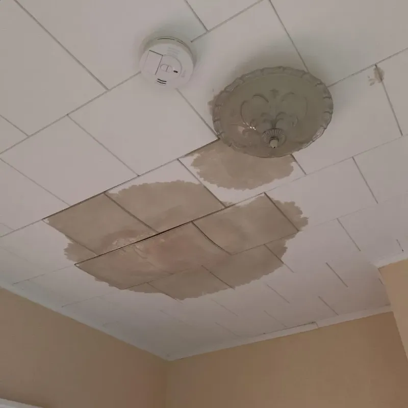 Ceiling Water Damage Repair in Falkville, AL