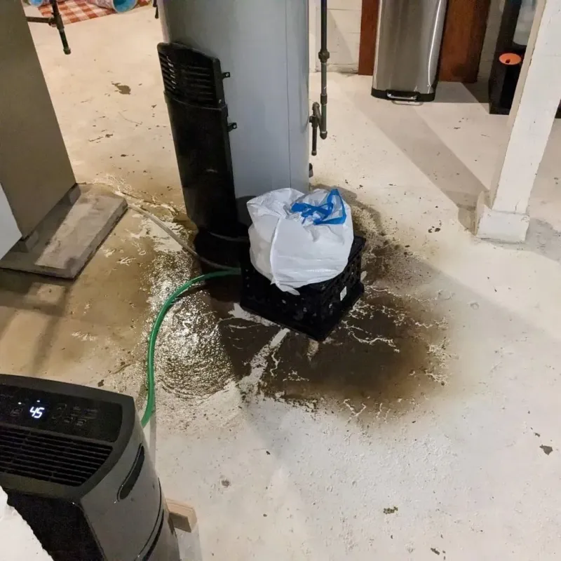 Sewage Backup Cleanup Service in Falkville, AL
